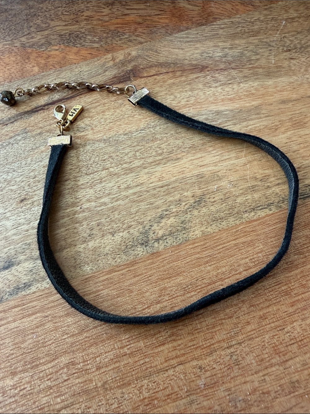 Vanessa Mooney Sueded Cord Choker